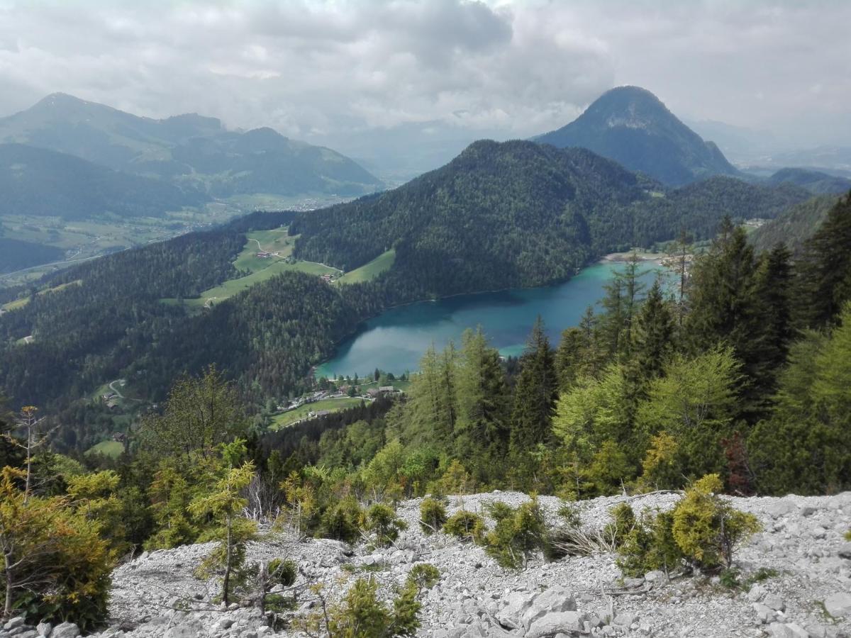 Appartements Alpenblick Soell Zewnętrze zdjęcie